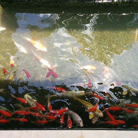 Villa Viona 4 เซมินยัค ภายนอก รูปภาพ